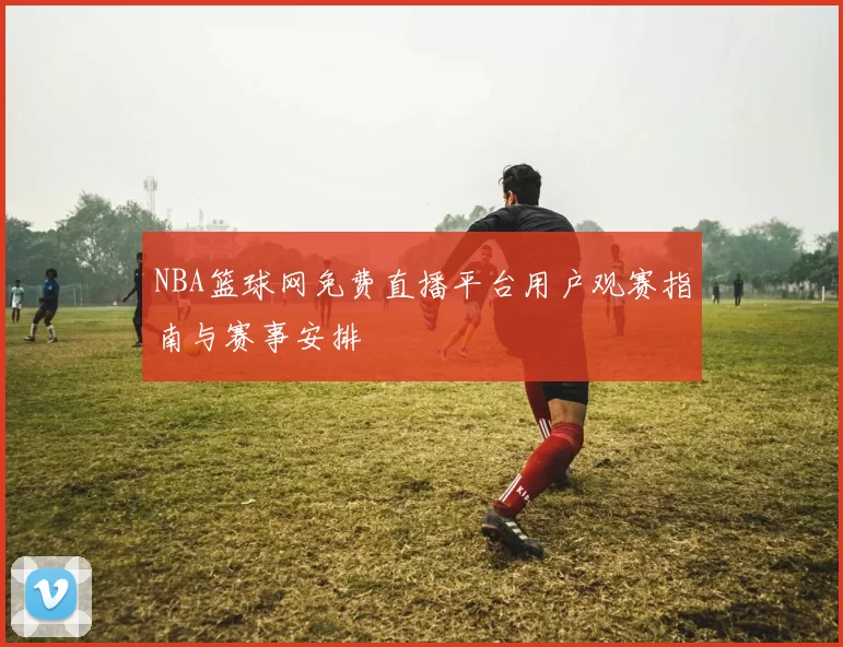 NBA篮球网免费直播平台用户观赛指南与赛事安排