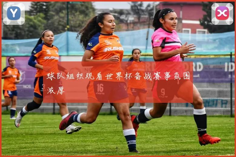 球队组织观看世界杯备战赛事氛围浓厚