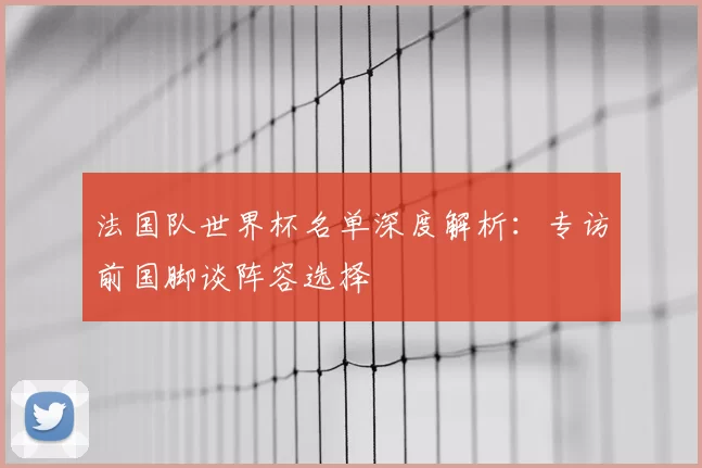 法国队世界杯名单深度解析:专访前国脚谈阵容选择