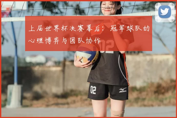 上届世界杯决赛幕后：冠军球队的心理博弈与团队协作
