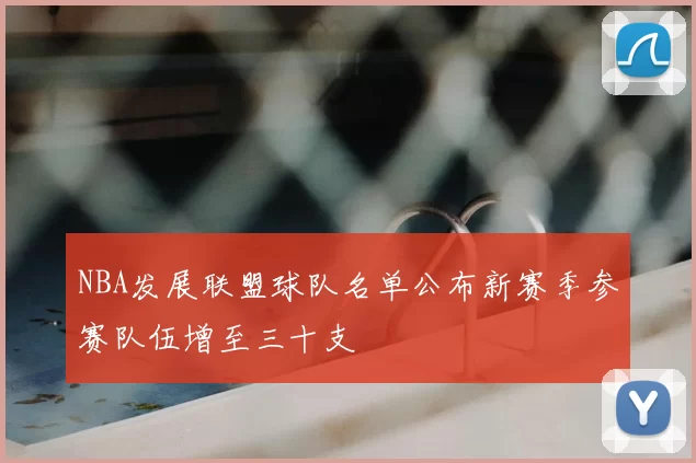 NBA发展联盟球队名单公布新赛季参赛队伍增至三十支