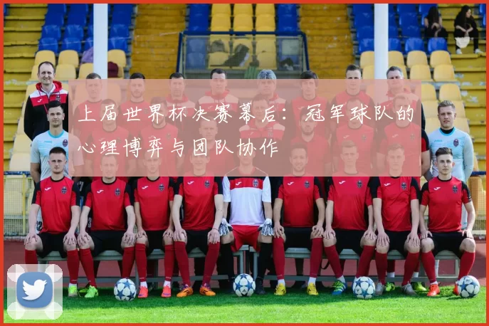 上届世界杯决赛幕后:冠军球队的心理博弈与团队协作